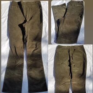 DG2 5 Pocket Pants